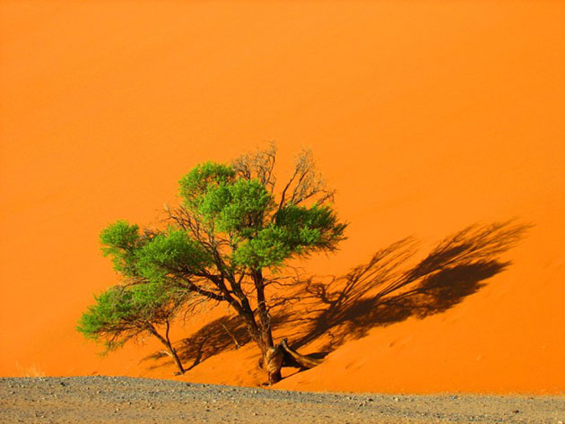 Sa mạc Namib quyến rũ bí ẩn ở Namibia: Là sa mạc lớn nhất Namibia - một quốc gia ở phía Nam châu Phi, Namib sở hữu cảnh quan vô cùng ấn tượng, một vẻ đẹp kiêu kì mà nhiều sa mạc khác không có được.